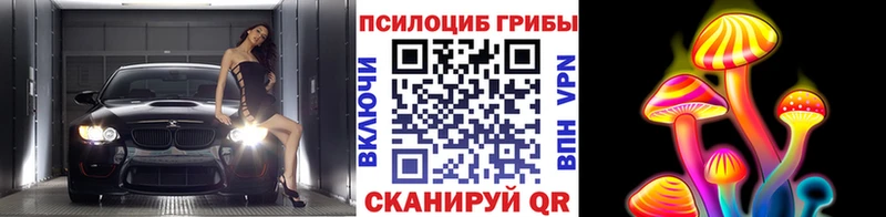 Галлюциногенные грибы MAGIC MUSHROOMS  где купить наркоту  Пермь 